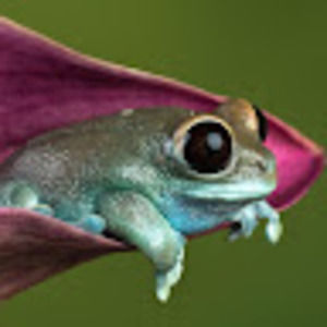 Meet your Posher, Jack